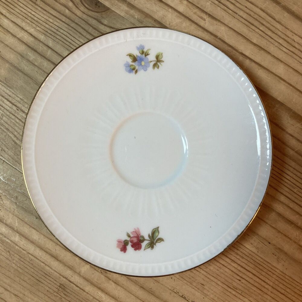 Vintage Bareuther Waldsassen Bavaria Germany Porcelain Tea cup saucer Flower 103